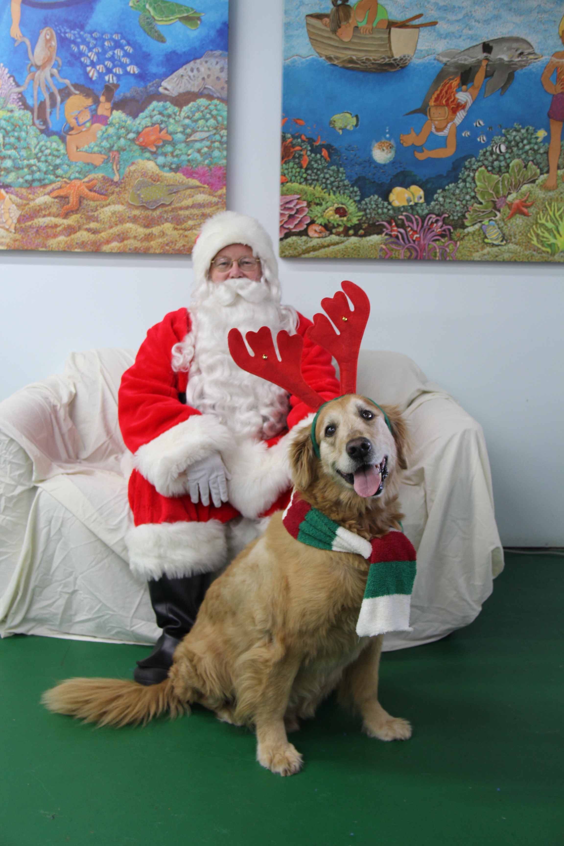 Santa Pet Photos