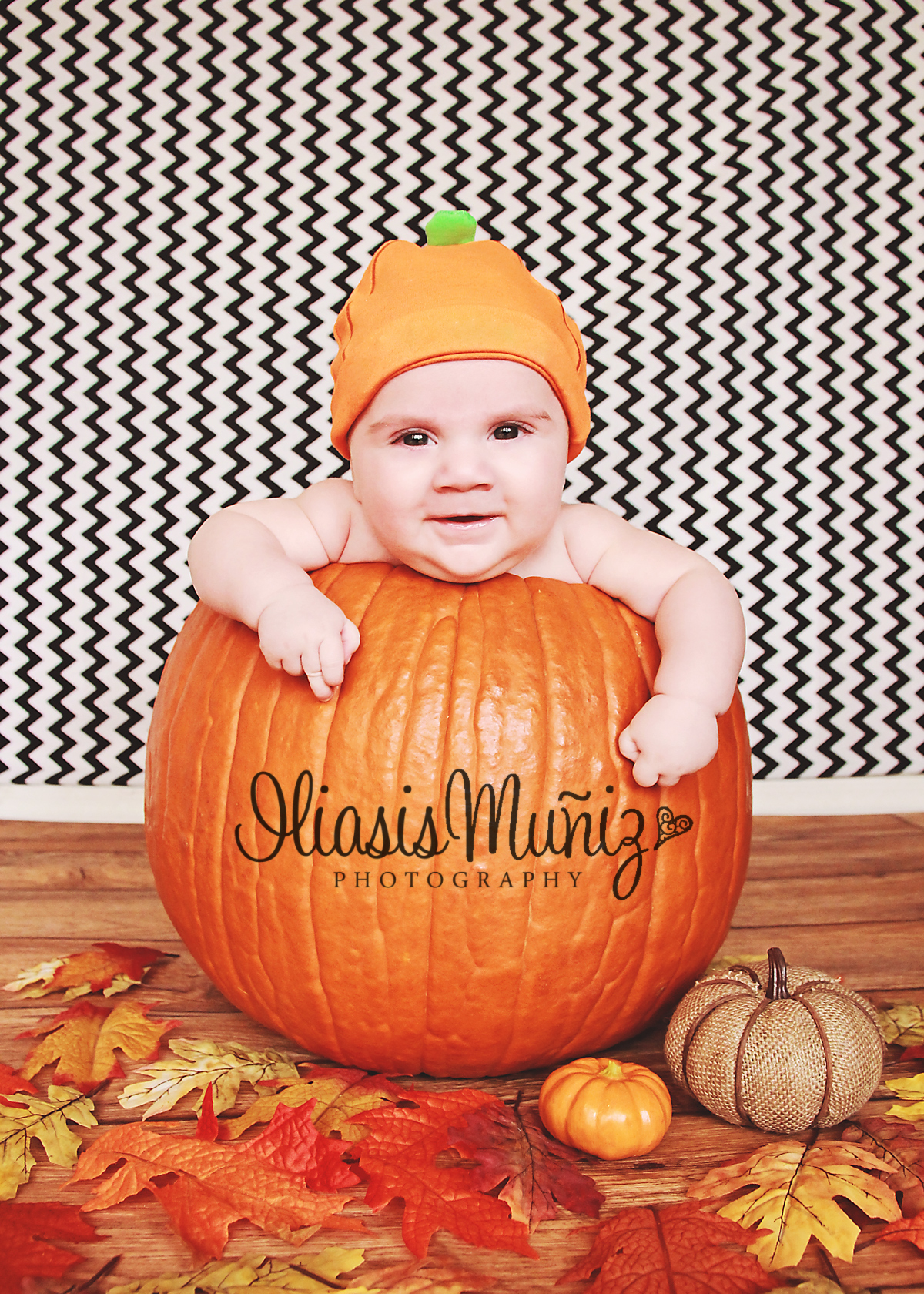 BOO – Halloween Mini Session 2013