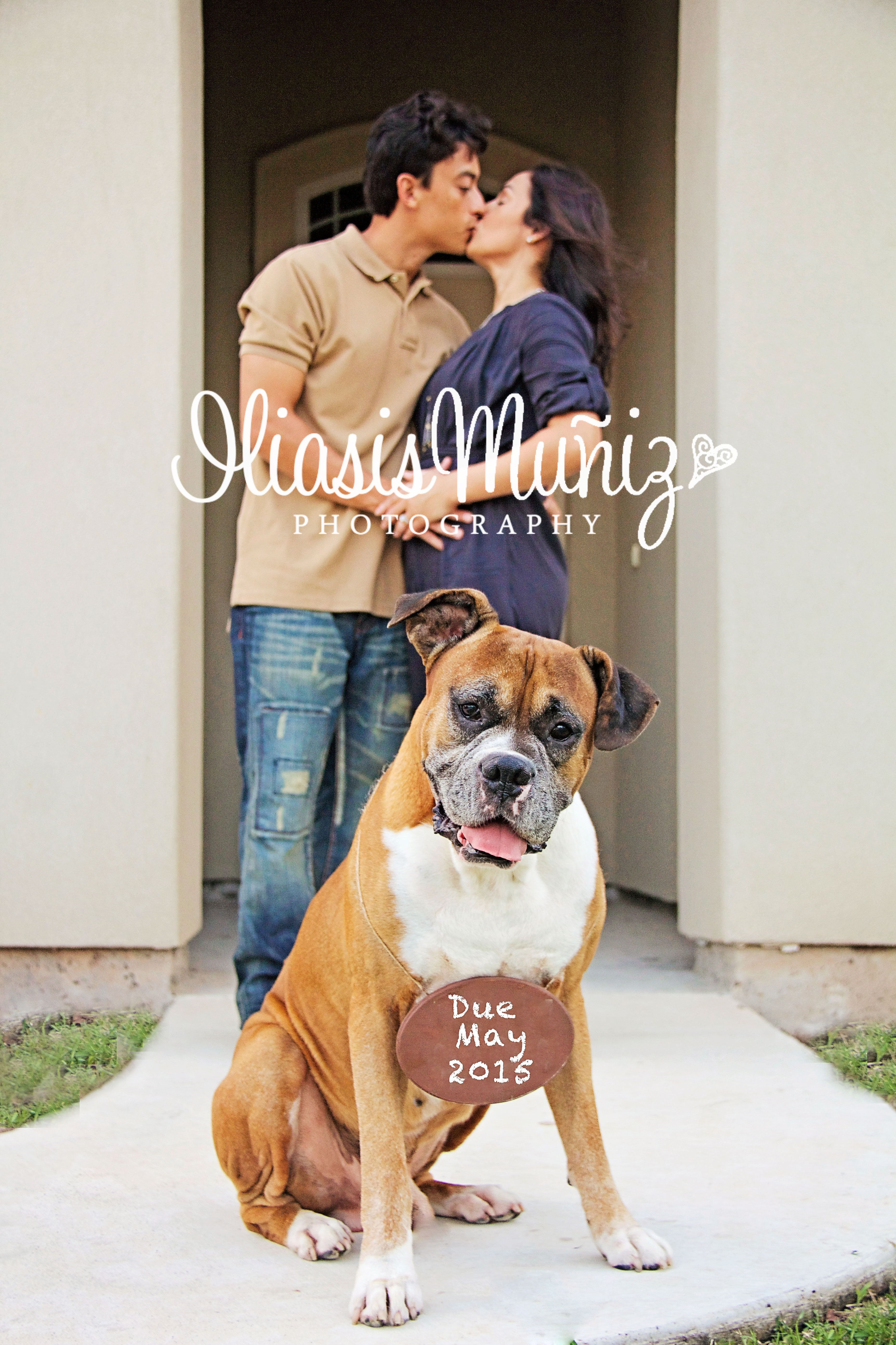 Mom & Dad are getting us a HUMAN!!!