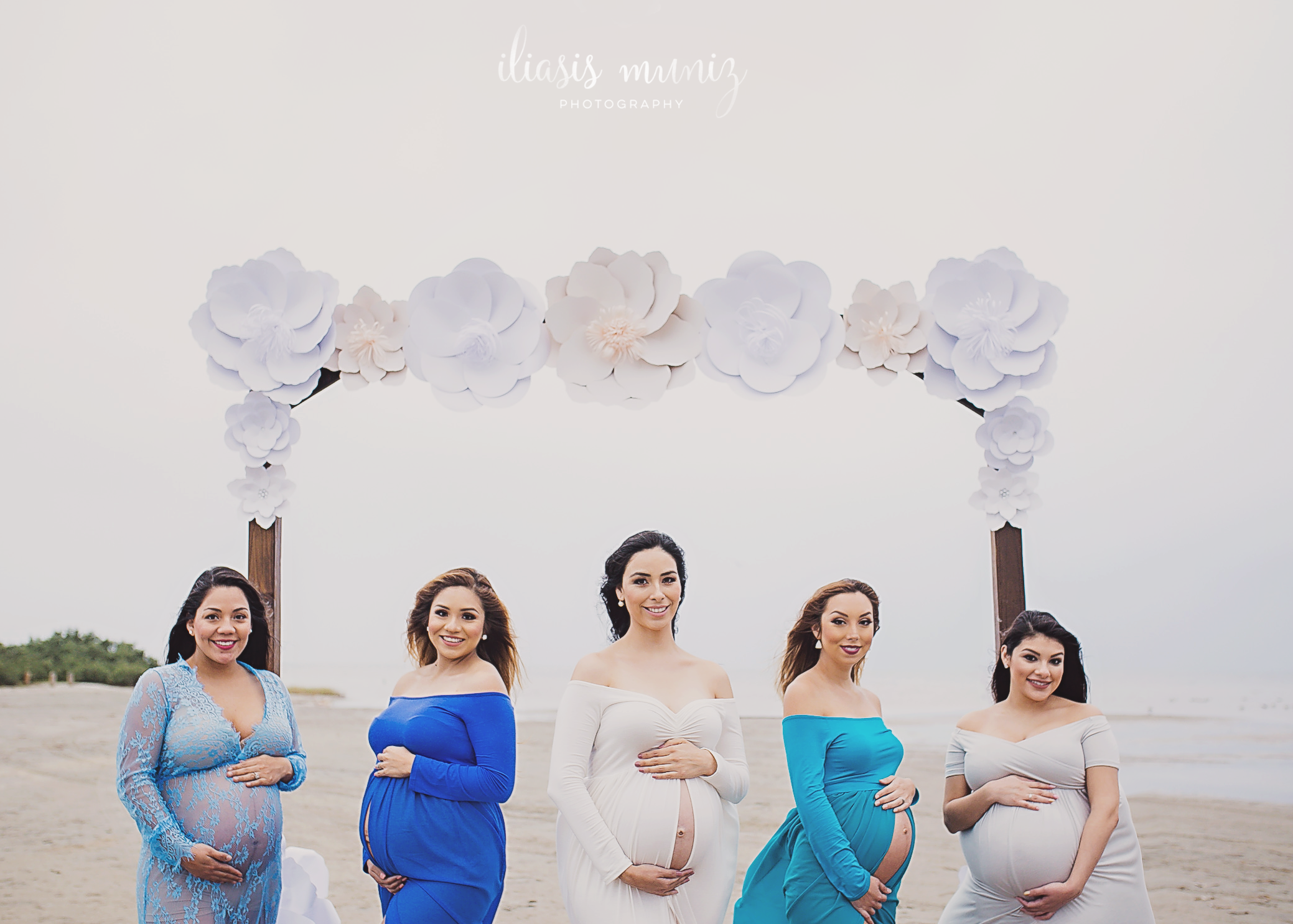 Wholesale Maternity Gowns by Ashley Jewett