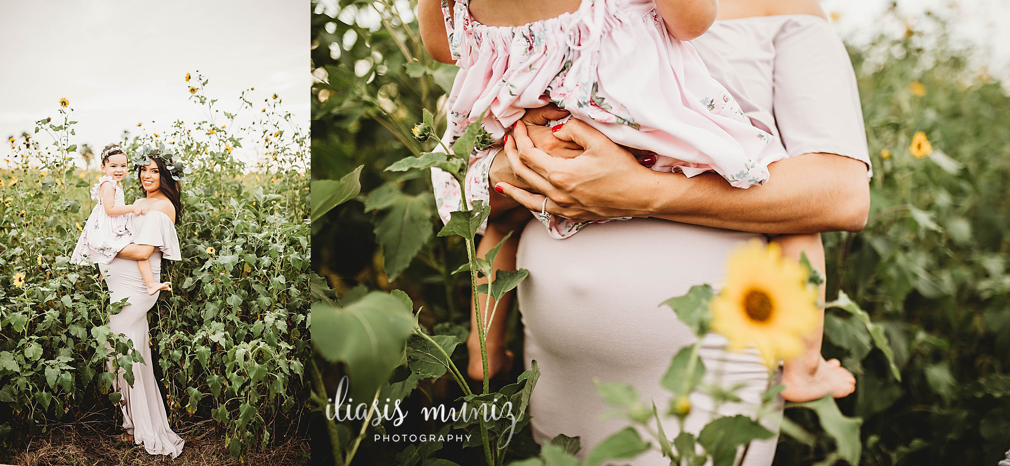 Sunflower Maternity Portraits | Harlingen, Tx