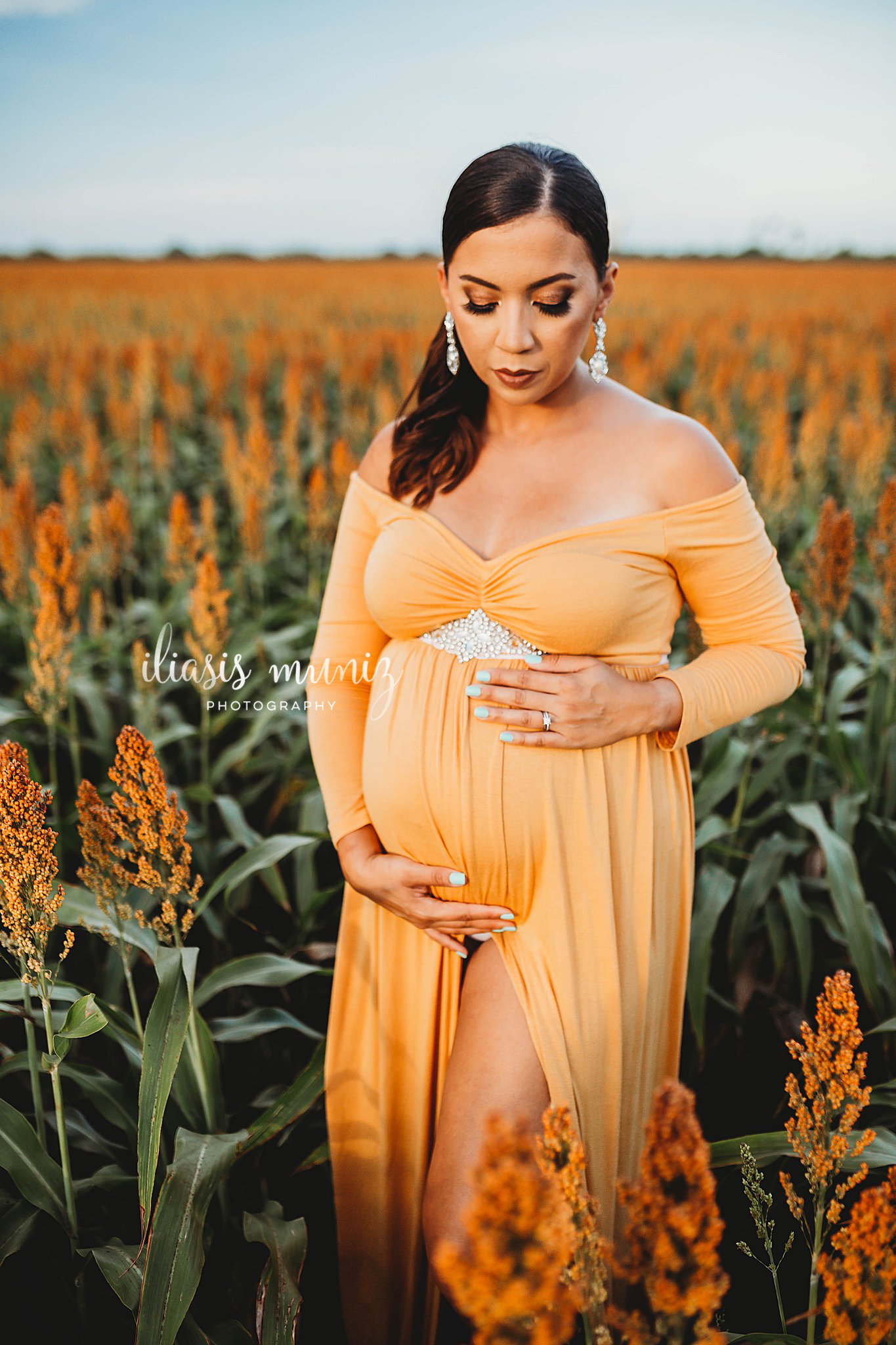 Field Maternity Portraits