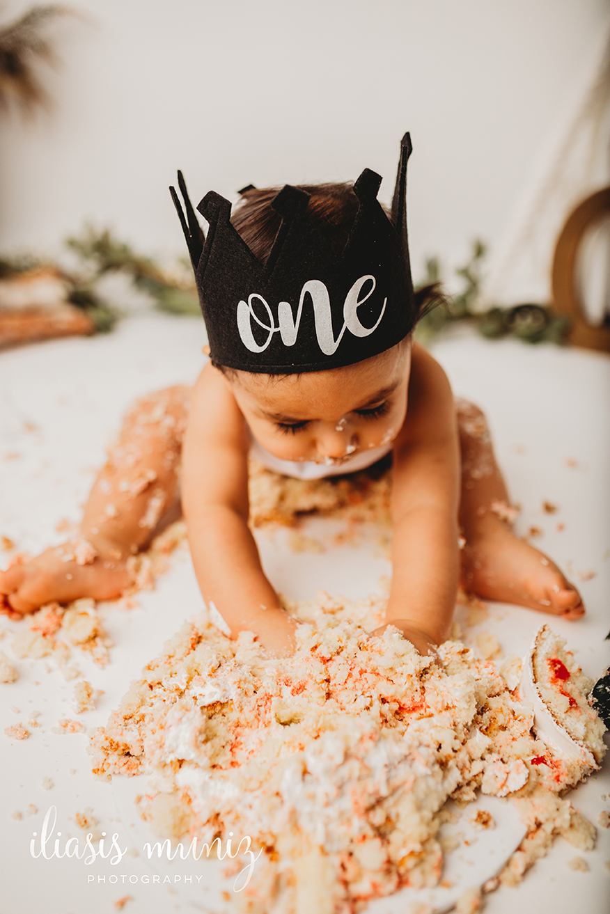 Wild One Cake Smash | Laguna Vista, Tx