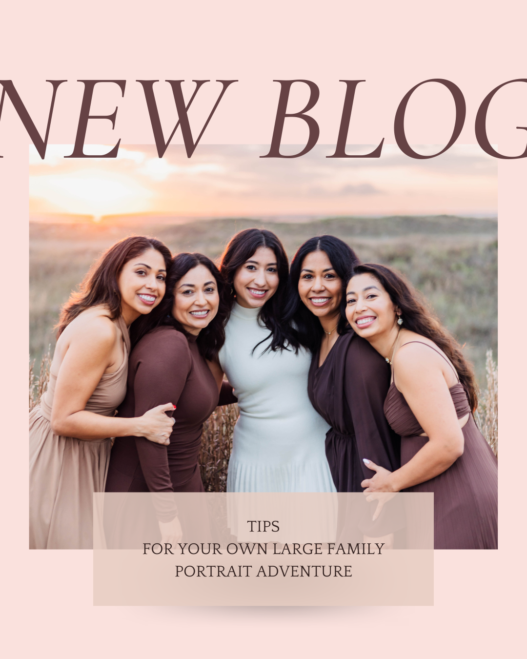 Tips for Your Own Large Family Portrait Adventure